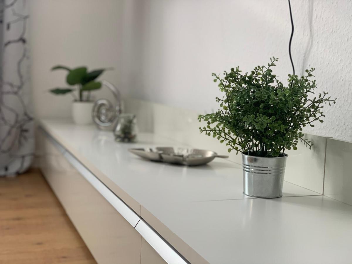 Große moderne Ferienwohnung, zentrale ruhige Lage Kassel Exterior foto